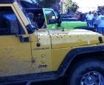 Jeeps Come From Far & Wide For Annual Jeep Fest