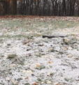 Snow Surprises Butler Co. Residents Early Friday