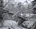 West Penn: 700 Linemen Working To Restore Power In Butler Co. Monday