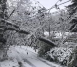 West Penn: 700 Linemen Working To Restore Power In Butler Co. Monday