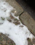 Rain-Snow Mixture Leads To Another Messy Morning