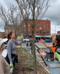 Main Street Clean-Up