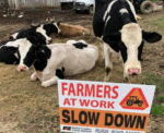 Farmers Use Rural Roads Safety Week To Urge Drivers To Be Cautious